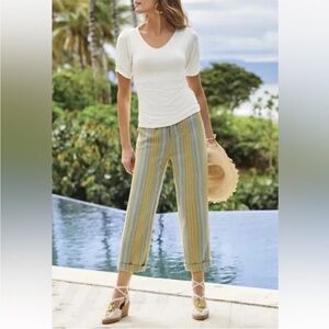 Soft Surroundings Caldera Linen Blend Pants High Waisted Stripe Cropped SZ 14